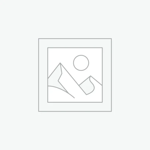 愛樂芙10堂變現課（推薦基礎學習）